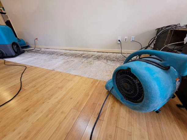 Professional Structural Drying technician working in Sugar Grove, IL